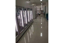 مخصص الحجم التخزين البارد الأبواب / زجاج الباب للطب الفريزر