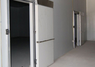 غرفة البولي يوريثين الخضار التخزين البارد غرفة المشي في المبرد مع مزدوجة اللون الصلب