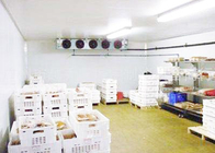 غرفة التخزين الباردة ضاغط كوبلاند للحوم المأكولات البحرية 1 سنة الضمان
