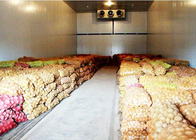 غرفة تخزين الخضار أو الفاكهة الباردة مع لوحة PU العزل 43kg / m³